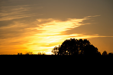 Similar image 6443819