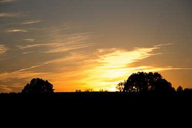 Similar image 6443820