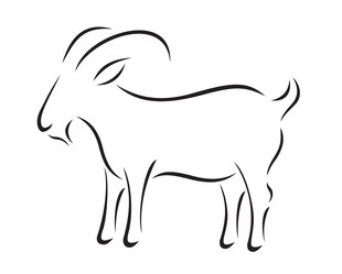 Similar image 6443845