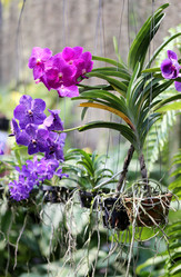 Similar image 6443849