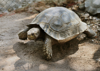 Similar image 6443863