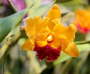 Similar image 6443865