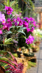 Similar image 6443870