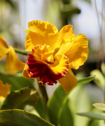 Similar image 6443871