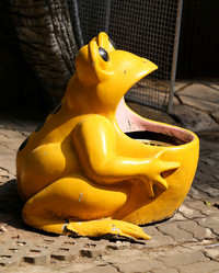 Similar image 6443878