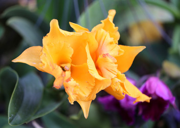 Similar image 6443882