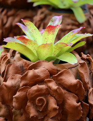 Similar image 6443885