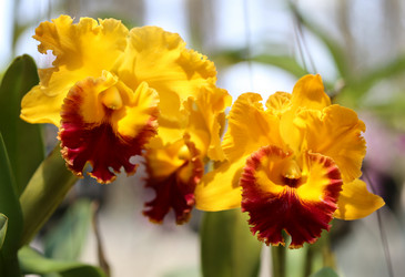 Similar image 6443888