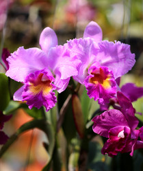 Similar image 6443890