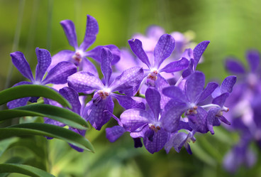 Similar image 6443895