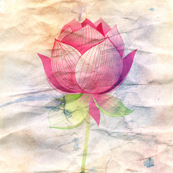 Similar image 6443912