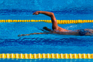 Similar image 6444034