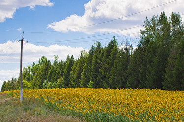 Similar image 6444141