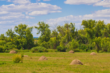 Similar image 6444142