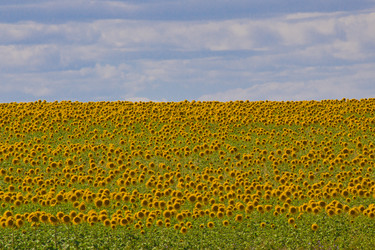 Similar image 6444143