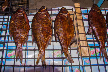 Similar image 6444144