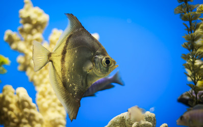 Similar image 6444145