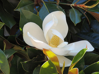 Similar image 6444185