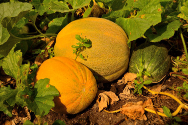 Similar image 6444193