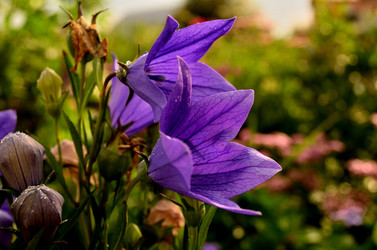 Similar image 6444194