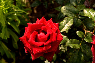 Similar image 6444195