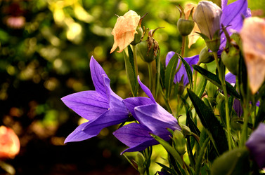 Similar image 6444196