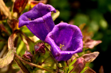 Similar image 6444197