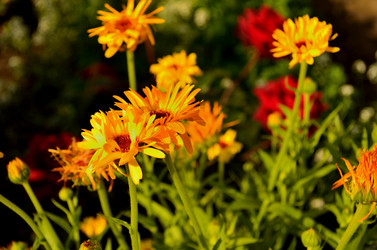 Similar image 6444198