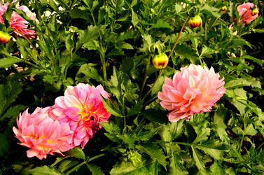 Similar image 6444199