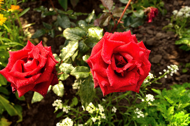 Similar image 6444201