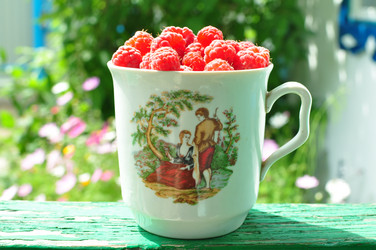 Similar image 6444203