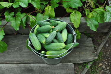 Similar image 6444205