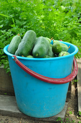 Similar image 6444206