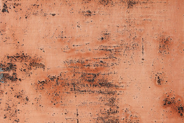 Similar image 6444231