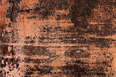 Similar image 6444233