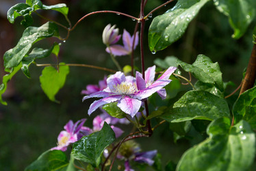 Similar image 6444284