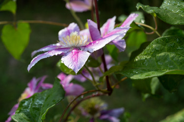 Similar image 6444286