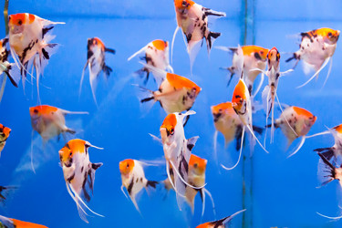 Similar image 6444330