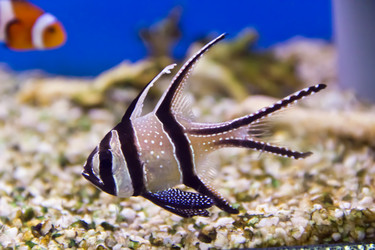 Similar image 6444338