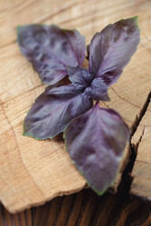 Similar image 6444373