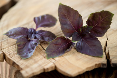 Similar image 6444374