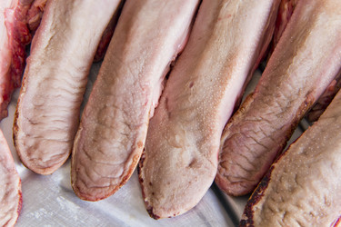 Similar image 6444385