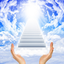 Similar image 6444499