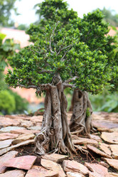 Similar image 6444598