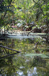 Similar image 6444605