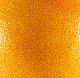 Similar image 6444613