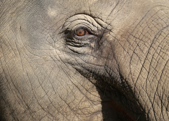 Similar image 6444615