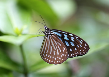 Similar image 6444624