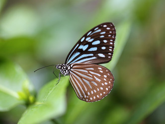 Similar image 6444632