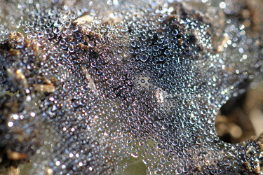 Similar image 6444659